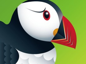 PUFFIN BROWSER
