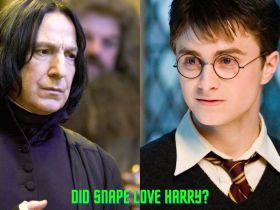 DID SNAPE LOVE HARRY?