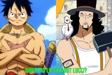 What Episode Does Luffy Defeat Rob Lucci?